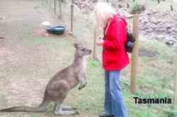 Tasmania